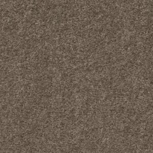 VALIANT by Shaw Floors - Plymouth Rock