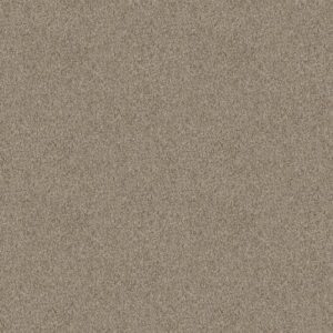 TAKE AWAY (T) by Shaw Floors - Mulch