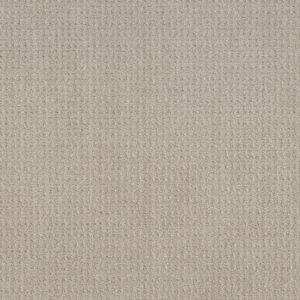 TRANSLATE by Shaw Floors - Oatmeal