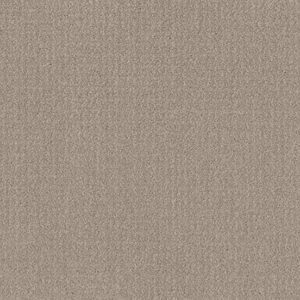 TRANSLATE by Shaw Floors - Sand Swept