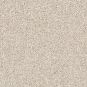 VALIANT by Shaw Floors - Marble White