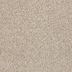 TAKE THE FLOOR ACCENT II by Shaw Floors - Luna