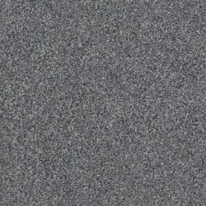 WITHIN REACH III by Shaw Floors - Harbor Dock