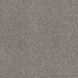 WITHIN REACH II by Shaw Floors - Serene Still