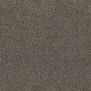 LIVE ON COMFORT by Shaw Floors - Woodcliff Brown