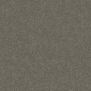 YES YOU CAN I 15' by Shaw Floors - Rerooted Nature