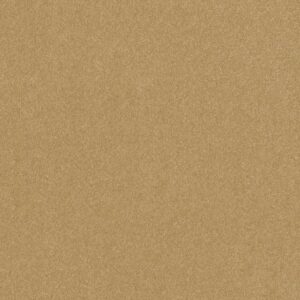 HARD AT PLAY I 12' by Shaw Floors - Honeycomb