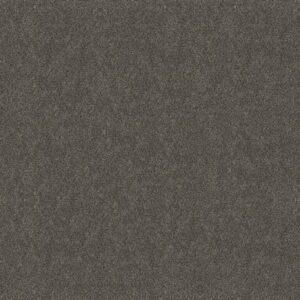 BOUNDLESS III by Shaw Floors - Shadow