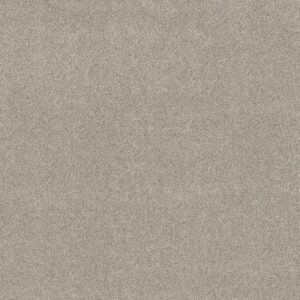 BOUNDLESS II by Shaw Floors - North Shore