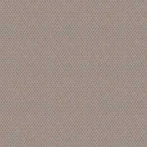 NATURALISTIC by Shaw Floors - Baltic Stone