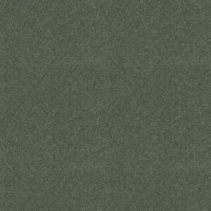 WELL PLAYED I 12' by Shaw Floors - Spring Leaf