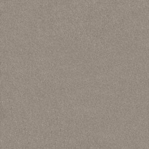 WHAT'S UP by Shaw Floors - Frosted Ice