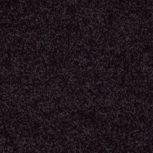 KID CROSSING by Shaw Floors - Pirate Patch