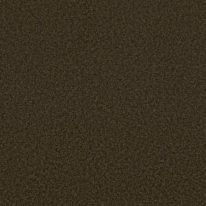 PARLAY by Shaw Floors - Truffle