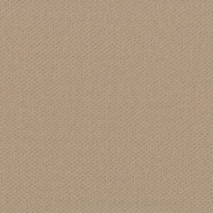 GENESIS by Shaw Floors - Dunes