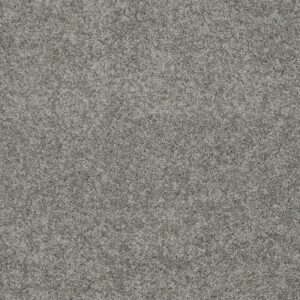 MY CHOICE I by Shaw Floors - Fog
