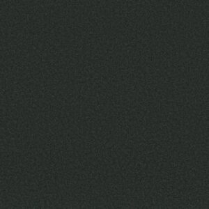 SANDY HOLLOW CLASSIC IV 12' by Shaw Floors - Graphite