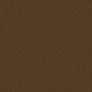 CORNER CAFE 15' by Shaw Floors - Tortoise Shell