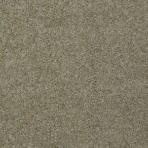 LOYAL BEAUTY I by Shaw Floors - Smooth Slate