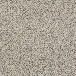 FIND YOUR COMFORT TA II by Shaw Floors - First Dance (A)