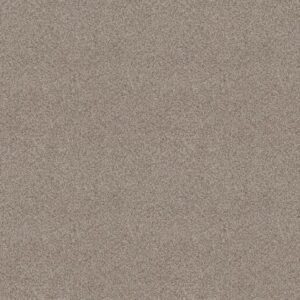 FIND YOUR COMFORT TA II by Shaw Floors - Backstage Pass