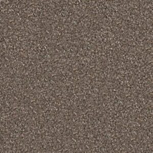 MAJORITY RULES by Shaw Floors - Rustic Taupe