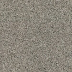 ALWAYS MINE by Shaw Floors - Elusive