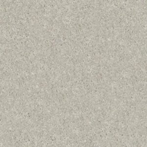 STEP RIGHT UP II 12' by Shaw Floors - Sheer Silver