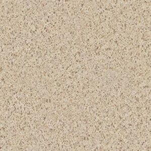 COMPLETE ALLURE (B) by Shaw Floors - Misty Mica