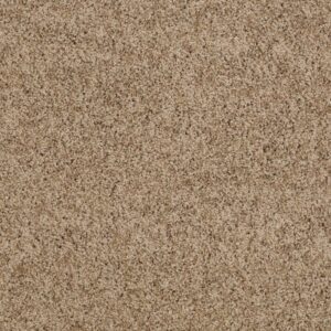 AROUND THE HOUSE II by Shaw Floors - Twig