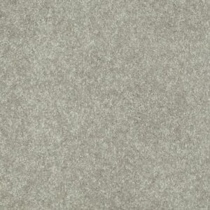 STEP RIGHT UP II 15' by Shaw Floors - Wild Rice