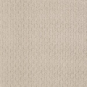 SPACE LINE by Shaw Floors - Agate