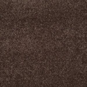 LUCKY YOU by Shaw Floors - Maple