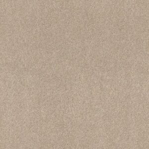 OCEAN VIEW by Shaw Floors - Delicate