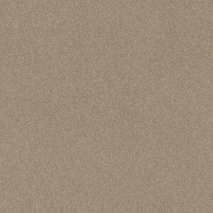COZY HARBOR I by Shaw Floors - Natural Beauty