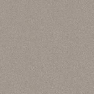 GO AFTER IT 2 by Shaw Floors - Off Shore