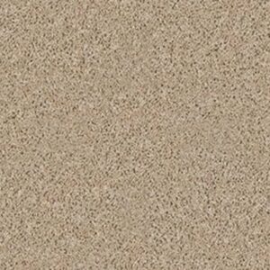 FUSION VALUE 300 NET by Shaw Floors - Dovetail