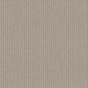 FRAMED VIEW by Shaw Floors - Sandstone