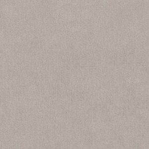 CHIC NUANCE by Shaw Floors - Winters Dawn