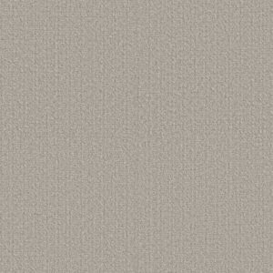 SECRET PASSAGE by Shaw Floors - Washed Linen