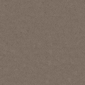 CHIC SHADES by Shaw Floors - Ridgeview