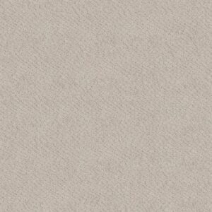CHIC SHADES by Shaw Floors - Serene Still