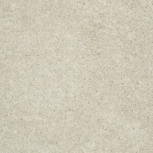 UNION CITY I 15 by Shaw Floors - Angel Cloud