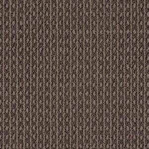 MODESTA by Shaw Floors - Darkroom