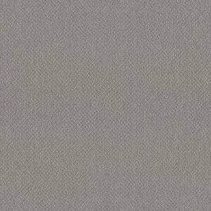 EMBELLISHED by Shaw Floors - Cathedral