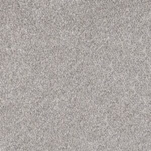 TENACIOUS WIN by Shaw Floors - Oxford