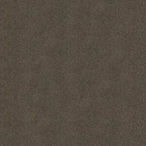 BOUNDLESS IV by Shaw Floors - Chestnut Ridge