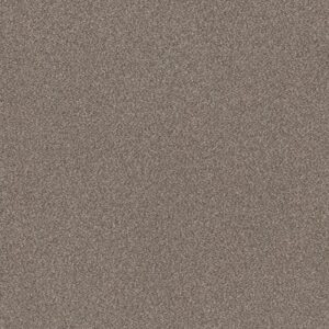 TRUSPLENDOR by Shaw Floors - Cobble Drive