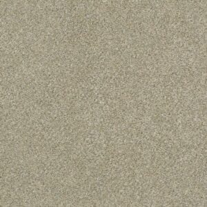 BOUNDLESS IV by Shaw Floors - Morning Light