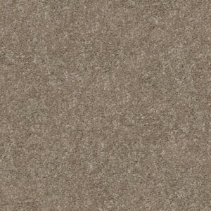 SMOOTH TALK I by Shaw Floors - Cedar Key